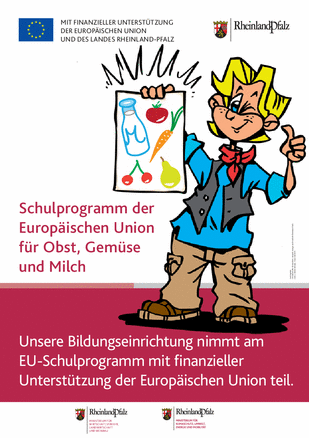 csm Poster Schulprogramm